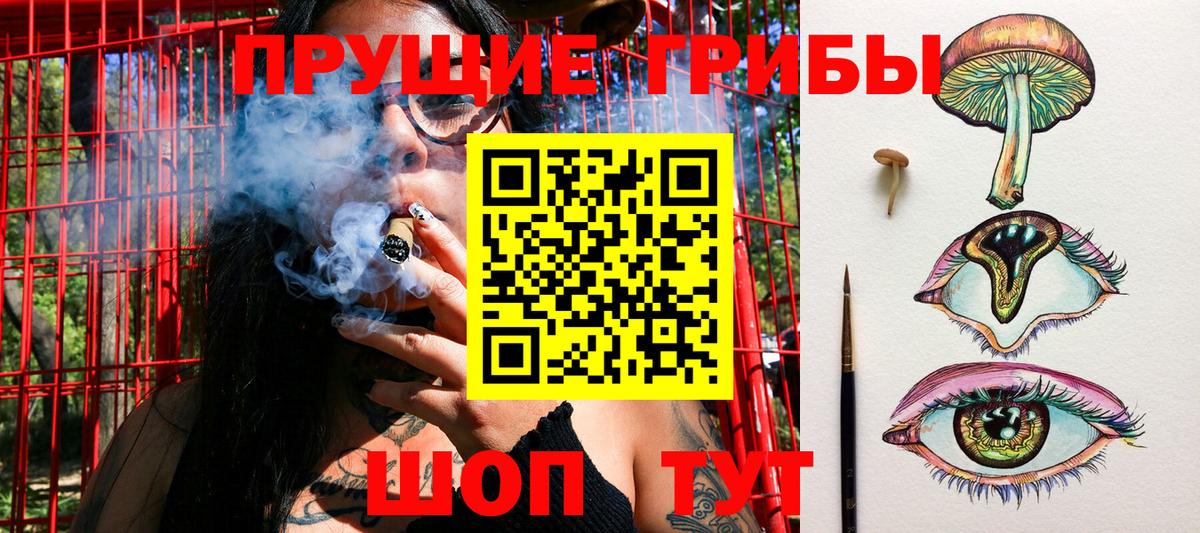 Галлюциногенные грибы прущие грибы Кирово-Чепецк